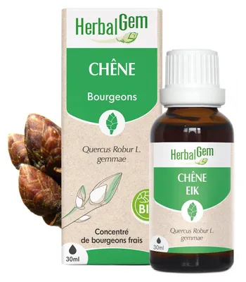 Image de Pranarom - Bourgeon de Chêne -- 30 ml