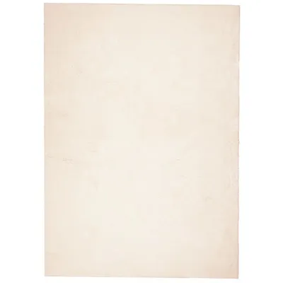 Produktbild von Teppich HUARTE Kurzflor Weich und Waschbar Beige 240x340 cm