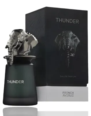 Image de French Avenue Thunder EDP 100 ml M