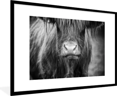 Produktbild von MuchoWow® Gerahmtes Poster Schottischer Highlander - Kuhkopf - Schwarz und Weiß 90x60 cm - Poster mit Schwarzem Bilderrahmen Wandposter Rahmen Foto Bilder - Wanddekoration - Fotos