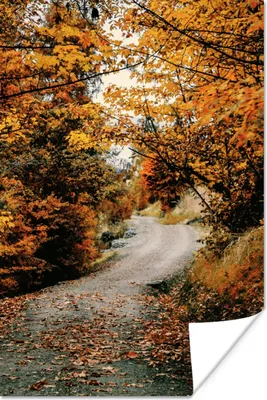 Produktbild von MuchoWow® Poster Herbstwald - Weg - Laub - Ländlich 40x60 cm - Plakate für die Wand - Poster Babyzimmer