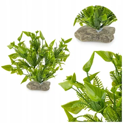 Produktbild von Aquarium Pflanzen Künstlich, 22 cm Kuenstlich 22 cm Steinbeschwert