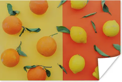 Produktbild von MuchoWow® Poster Zitrone - Orange - Gelb 60x40 cm - Schlafzimmerdekoration