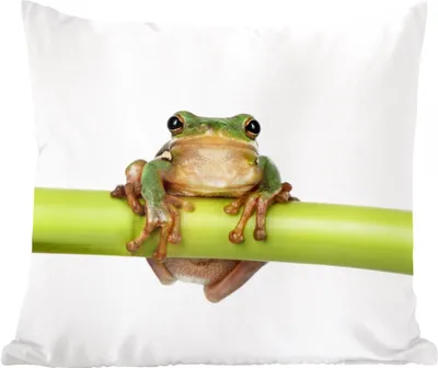 Produktbild von MuchoWow® Zierkissen Sofakissen Wohnzimmer Dekokissen 50x50 cm Frosch - Bambus - Weiß - Komfort - Sofakissen