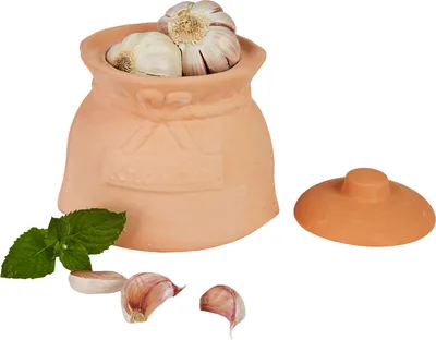 A terracotta garlic pot with garlic bulbs inside, a lid, mint leaves, and garlic cloves.