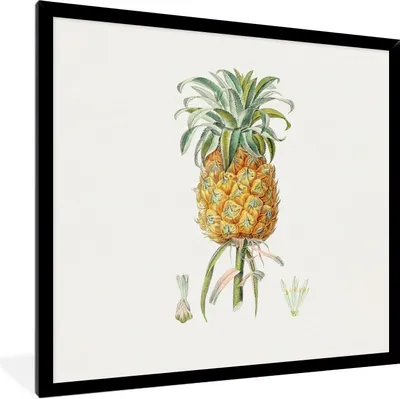 Produktbild von MuchoWow® Gerahmtes Poster Ananas - Frucht - Pflanze 40x40 cm - Poster mit Schwarzem Bilderrahmen Wandposter Rahmen Foto Bilder - Mit Rahmen - Wanddekoration Schlafzimmer