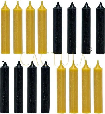 Image de Bougies de table Cactula 12 cm, 2 couleurs, 16 pièces | Jaune ocre et noir