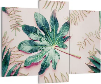 Produktbild von Bild auf Leinwand - Leinwandbild - 3 Teile - Blatt Tropisch Palme - 130x100cm - Wand Bild - Wanddeko - Wandbilder - Leinwanddruck - Bilder - Wanddekoration - Leinwand bilder - CB130x100-4314