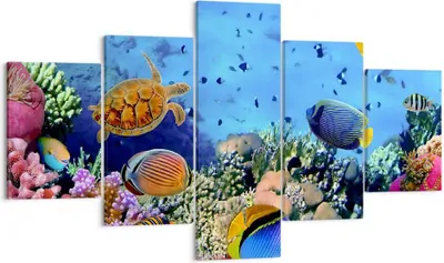 Produktbild von Bild auf Leinwand - Leinwandbild - Korallenriff - 125x70cm - Wand Bild - Wanddeko - Wandbilder - Leinwanddruck - Bilder - Kunstdruck - Wanddekoration - Leinwand bilder - Wandkunst - EA125x70-3569