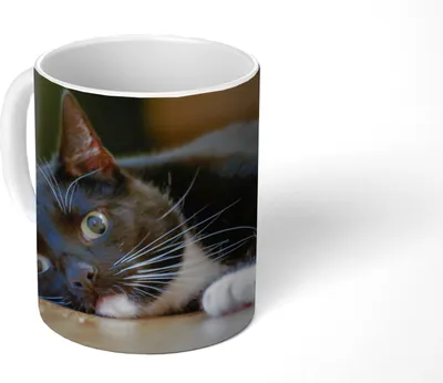 Produktbild von MuchoWow® Tasse Kaffeetasse Kaffeebecher 350 ml Katzen - Boden - Schwarz Teetasse - Fototasse - Becher - Keramikbecher - Teebecher - Kaffeetasse - Bürotasse