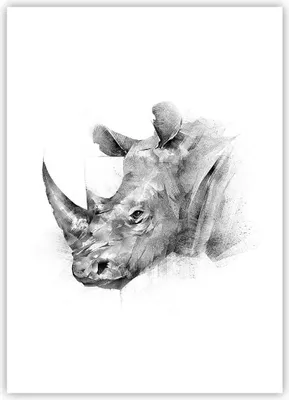 Produktbild von Poster - Poster ohne Rahmen - Nashorn Porträt Grafik - 50x70 cm - Wand Bild - Wanddeko - Wandbilder - Kunstposter - Wandposter - Bilder - Kunstdruck - Wanddekoration - Wandbild - P2XPA50x70-4378