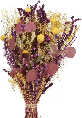 Produktbild von Trockenblumenstrauß Gelb Lila Grün mit Craspedia und Eukalyptus, Deko Vintage 53cm 150g
