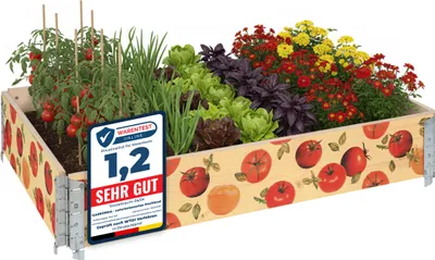 Produktbild von Garronda Holzaufsatzrahmen mit Print – Hochbeete für Pflanzen Blumen Obst Gemüse Holz mit dekorativem Druck Tomate mit Hintergrund