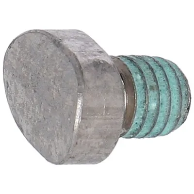 Produktbild von HAIBIKE FLYON Battery Fixation Screw (BFS) zur Batteriebefestigung Teil 4, silber