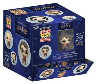 Productafbeelding van Harry Potter Mystery POP! Vinyl sleutelhanger, 10 cm, 25e jubileum, display (12 stuks)