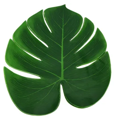 Immagine prodotto di Solidchoice - Set di 12 sottobicchieri a forma di foglia di Monstera per la decorazione della tavola