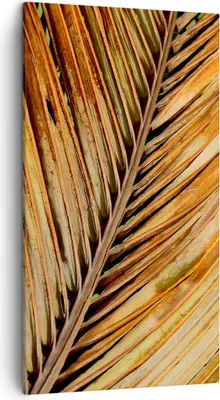 Produktbild von Bild auf Leinwand - Leinwandbild - Einteilig - Orange Blatt Tropisch - 45x80cm - Wand Bild - Wanddeko - Wandbilder - Leinwanddruck - Bilder - Wanddekoration - Leinwand bilder - Wandbild - PA45x80-4876