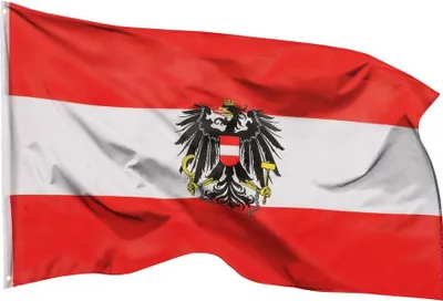 Produktbild von PHENO FLAGS Österreich Flagge mit Adler 90x150 cm