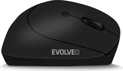 Image de EVOLVEO LadyErgo