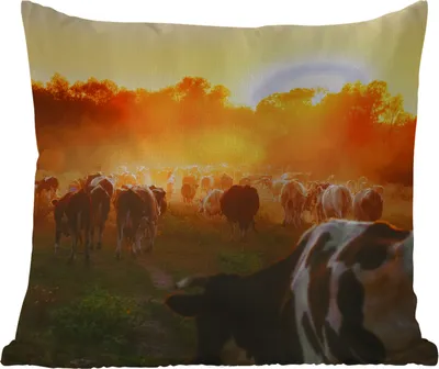 Produktbild von MuchoWow® Outdoor Kissen - Kühe - Sonnenuntergang - Wiese - Tiere - 50x50 cm - Wetterfest - Lounge Kissen - Komfortabel - Kissen mit Bild