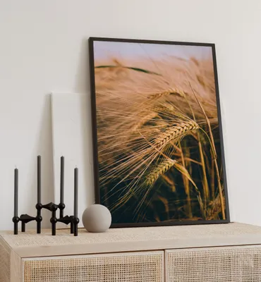 Produktbild von Poster Weizenfeld, groesse_poster:70x100 cm, groesse_rahmen:weiß 70x100 cm