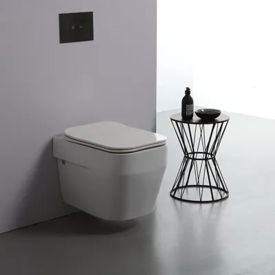 Immagine prodotto di Vaso wc sospeso serie Alimonta