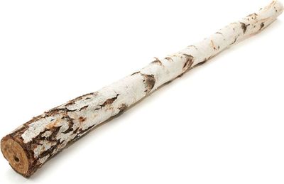 Birkenstamm Natur 1m – Deko-Holzstamm aus echter Birke für Vasen, Raumgestaltung & DIY | Ø 3-10 cm | Nachhaltig & vielseitig einsetzbar