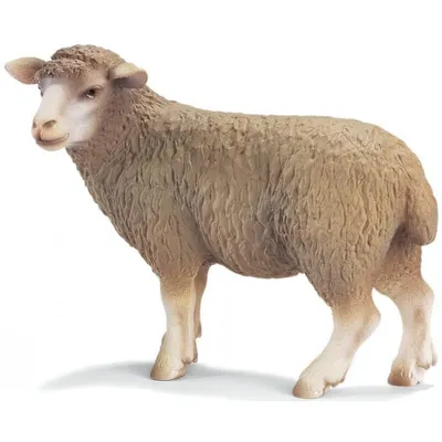 Obrázok produktu pre Stojaca ovca Schleich 13283