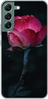 Produktbild von König Design Hülle kompatibel mit Samsung Galaxy S22 Plus 5G Kunststoff Soft Handyhülle - Handy Case Rose