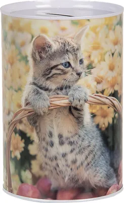 Produktbild von Clayre & Eef Spardosen Ø 10x15 cm Beige Metall Katze