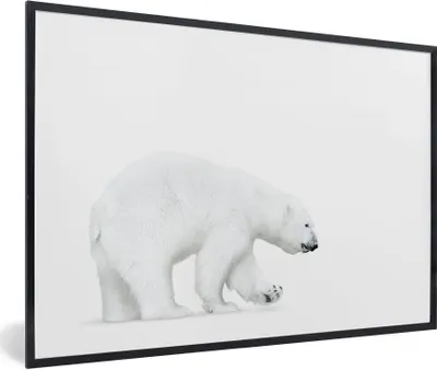 Produktbild von MuchoWow® Gerahmtes Poster Eisbär - Tiere - Weiß 60x40 cm - Poster mit Schwarzem Bilderrahmen Wandposter Rahmen Foto Bilder - Printing - Wanddeko Schlafzimmer