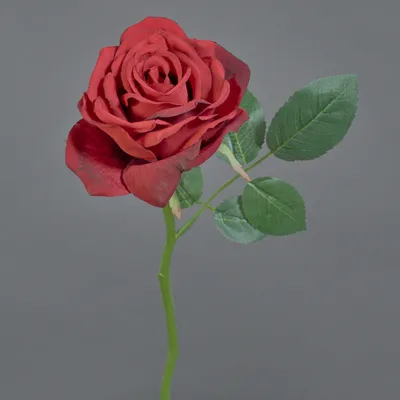Produktbild von artplants.de Kunstrose NIKOLETA, rot, 30cm, Ø12cm - Textil Rose
