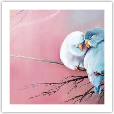 Produktbild von Poster - Poster ohne Rahmen - Vögel Blau Zweig - 50x50 cm - Wand Bild - Wanddeko - Wandbilder - Kunstposter - Wandposter - Bilder - Kunstdruck - Wanddekoration - Wandbild - P2XAC50x50-5026