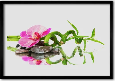 Produktbild von Bild 70x50 MDF-Rahmen Wandkunst Bambus Blume Steine ​​Kunst