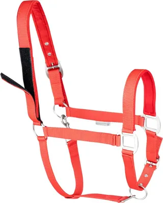 Produktbild von Waldhausen Sicherheitshalfter Rot Pony