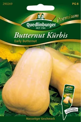 Zdjęcie produktu dla Quedlinburger Saatgut - Wczesne masło do dyni piżmowej - Nasiona - 290269