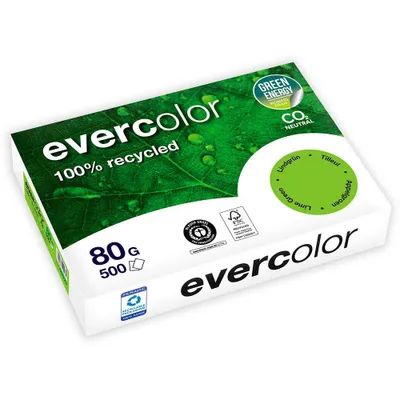 Image de Clairefontaine EverColor grün Recyclingpapier A 4 80 g 500 Bl.