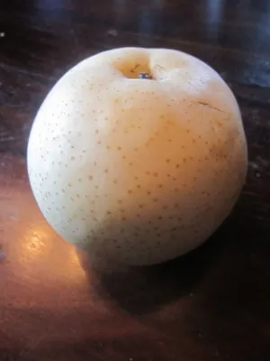 Produktbild von Pyrus pyrifolia - Nashi-Birne