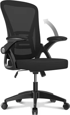Produktbild von Bürostuhl – Naspaluro ergonomischer Sitz – Sessel mit 90° klappbarer Armlehne – Lordosenstütze – höhenverstellbar
