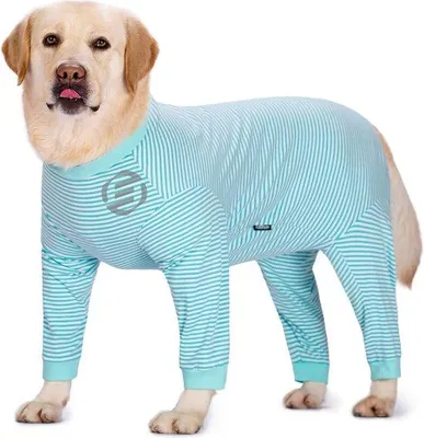 Produktbild von Hundepyjama, weich, klein, Hunde-Kleidung
