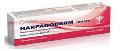 Zdjęcie produktu dla HARPAGODERM, maść, 50 ml