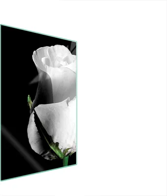 Produktbild von Herdabdeckplatte 35x52 Glaskeramikkochfeld Abdeckung Spritzschutz Glasplatte Deko Schneidebrett Rose Schwarz