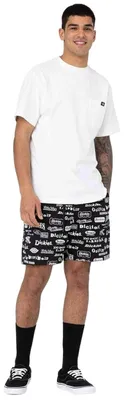 Image de Short Dickies DICKIES DK0A4XON - Pantalones cortos pour Homme