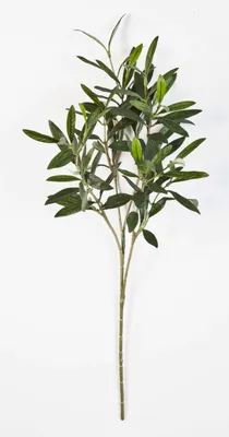 Produktbild von artplants.de Deko Olivenzweig, 105 Blätter, grün, 50cm - Künstlicher Olivenzweig - Deko Zweig