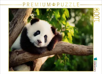 Produktbild von CALVENDO Puzzle Der Denker im Baum | 1000 Teile Lege-Größe 64x48cm Foto-Puzzle für glückliche Stunden