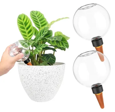 Image de Boules d'arrosage pour plantes, 500 ml, lot de 2, en plastique et en céramique, pour plantes en pot