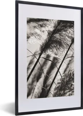 Produktbild von MuchoWow® Gerahmtes Poster Pampasgras - Schwarz - Weiß - Pflanze 40x60 cm - Poster mit Schwarzem Bilderrahmen Wandposter Rahmen Foto Bilder - Poster in Rahmen