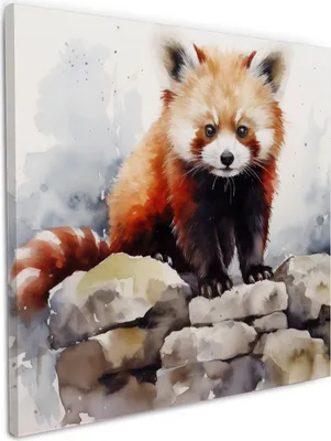 Produktbild von Wallario Premium Leinwandbild Neugieriger Rotpanda in Größe 50 x 50 cm