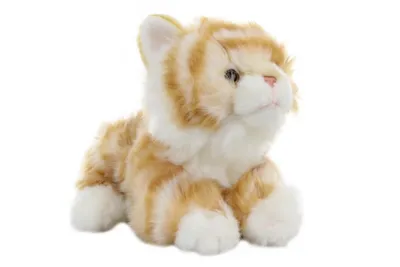Image de Son de chat en peluche 30 cm - ECO-FRIENDLY