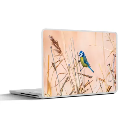 Produktbild von MuchoWow® Laptop Aufkleber Sticker Cover Vogel - Blaumeise - Schilf 30x21 cm - Sticker für Laptop - Selbstklebend